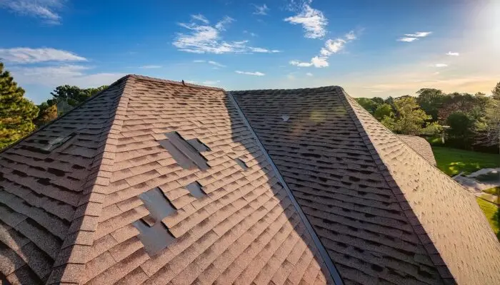 shingle roof with visible hail damage circled during home inspection shingle