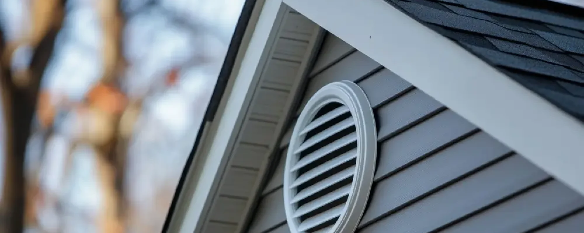 A house exterior showcasing a ventilated gable roof, vinyl siding, and attic vent. the natural setting and detailed design emphasize residential architecture.
